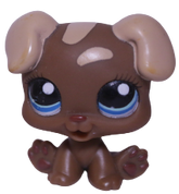 #1052 Puppy